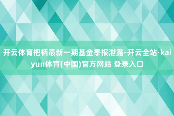 开云体育把柄最新一期基金季报泄露-开云全站·kaiyun体育(中国)官方网站 登录入口