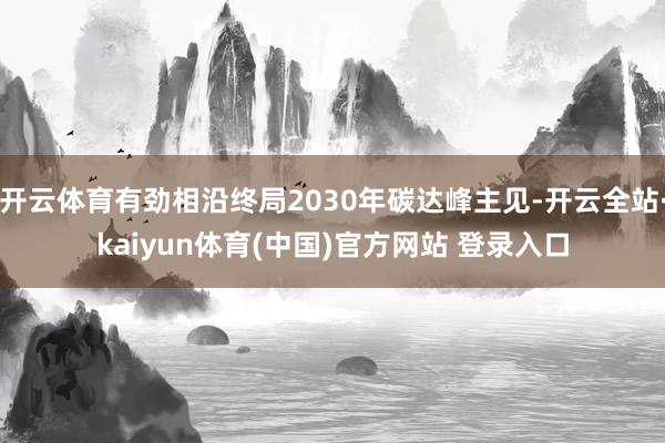 开云体育有劲相沿终局2030年碳达峰主见-开云全站·kaiy